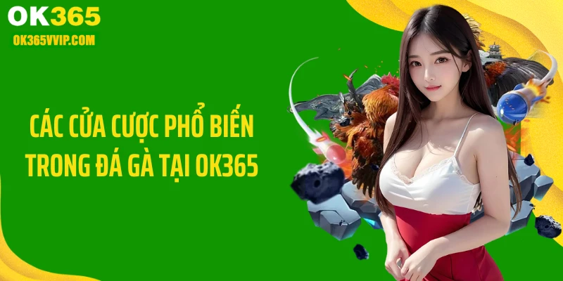 Các cửa cược phổ biến trong đá gà tại OK365